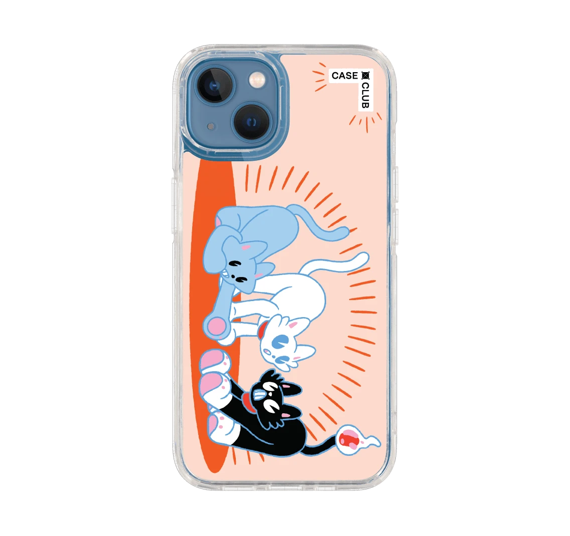 พลังแมวมารวมตัว